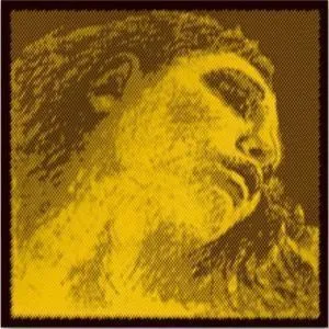 Pirastro 415091 Evah Gold Violin Комплект струн для скрипки (синтетика) 4/4