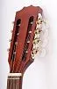 Hora M1089 Irish Bouzouki Бузуки.-4