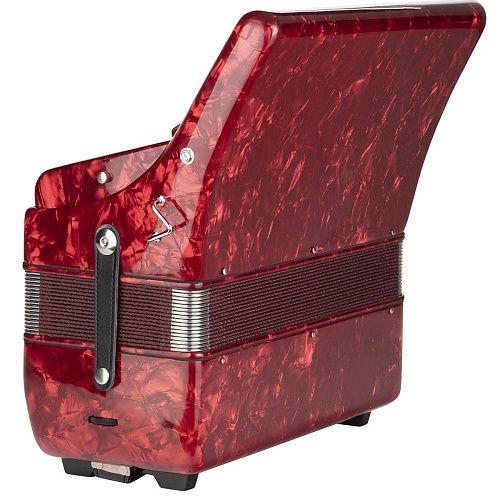 Aurus JH2021-R Аккордеон.