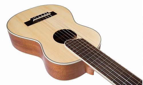 Flight GUT350 SP/SAP Гиталеле.