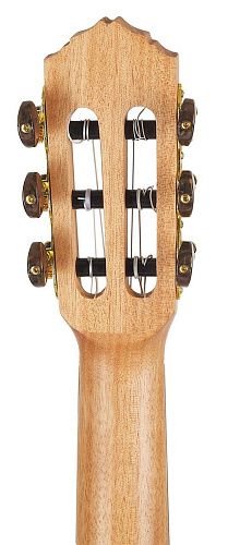 Ortega RGL5EB Timber Series Гиталеле.